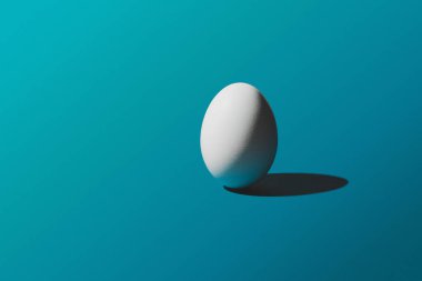 Mavi arka plan, Paskalya desen üstten görünüm beyaz tavuk yumurta. Metin, yatay görüntü için yer ile minimal tasarım.