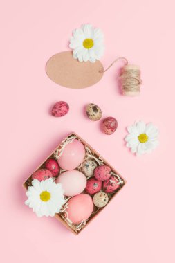 Paskalya yumurtaları pembe bir arka plan üzerinde. Üstten Görünüm. Boşaltmak. Paskalya yumurtaları ile arka plan. Çiçekli pembe yumurta. Paskalya fotoğraf kavramı. Paskalya hediyeler.
