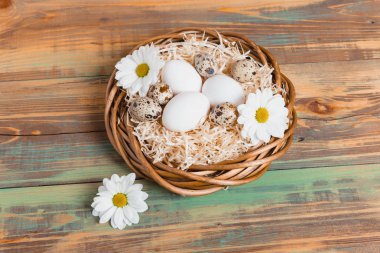 Paskalya yumurta üzerinde ahşap arka plan, üstten görünüm alanı kopyalayın. Paskalya natürmort. Paskalya dekor. Bıldırcın yumurta bir yuvaya boşaltmak metin tebrik için ahşap tablo.