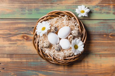 Paskalya yumurta üzerinde ahşap arka plan, üstten görünüm alanı kopyalayın. Paskalya natürmort. Paskalya dekor. Bıldırcın yumurta bir yuvaya boşaltmak metin tebrik için ahşap tablo.
