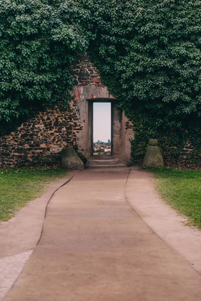 Geopende Deur Stenen Muur Met Klimop Deur — Stockfoto