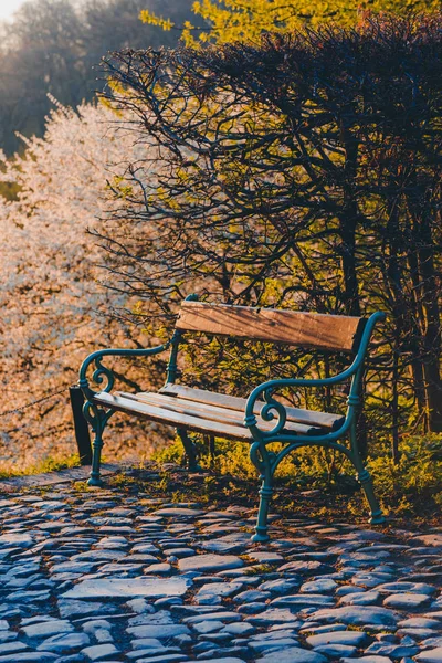 Bank Een Prachtig Park Lente Ochtend Zonsopkomst Het Park — Stockfoto