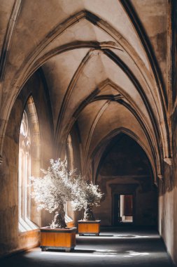 Prag Gotik başyapıt mimarisi. İç görünüm .