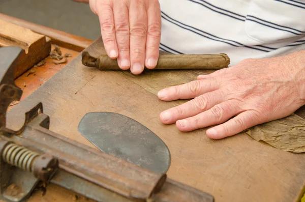 Productie van handgemaakte sigaren — Stockfoto