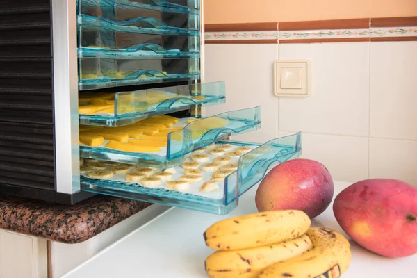 Séchage des fruits dans la machine à sécher — Photo