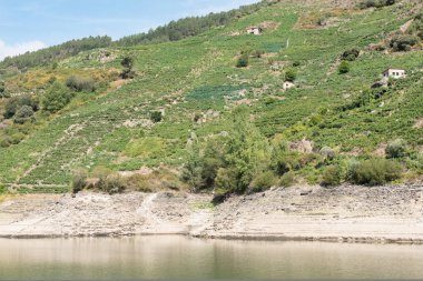 Tabii ki nehir Rio Sil bulunan Galiçya