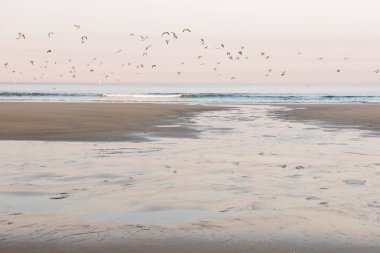 Matosinhos plajda güzel gündoğumu