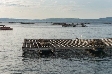 Midye su ürünleri sallar, batea, Arousa Haliç