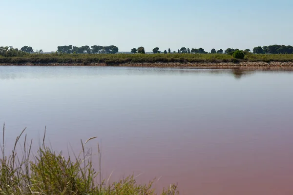 Niesamowita Różowa Woda Aigues Mortes Salt Marsh Camargue Francja — Zdjęcie stockowe