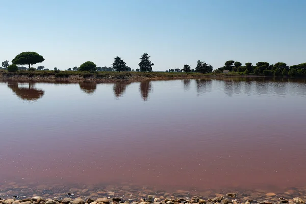 Niesamowita Różowa Woda Aigues Mortes Salt Marsh Camargue Francja — Zdjęcie stockowe