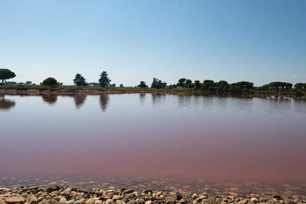 Niesamowita Różowa Woda Aigues Mortes Salt Marsh Camargue Francja — Zdjęcie stockowe