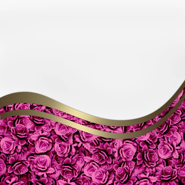 พื้นหลังด้วยดอกกุหลาบสีม่วง — ภาพถ่ายสต็อก