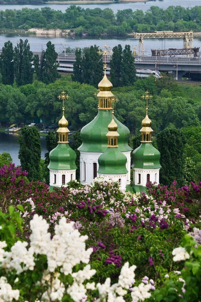 Blomstrende syriner i Kiev – stockfoto