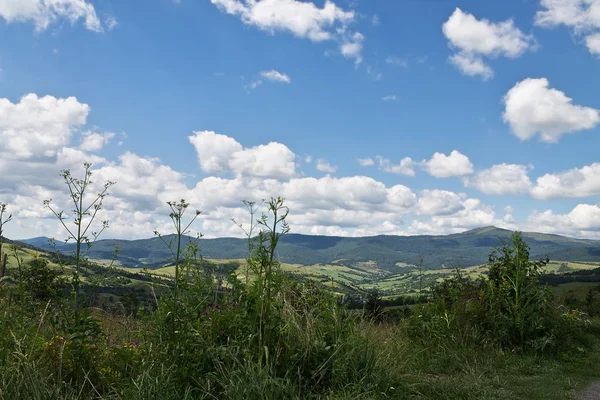 Paisaje de verano de los Cárpatos — Foto de Stock