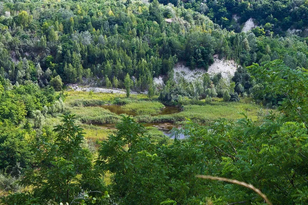 风景从山在树和湖 — 图库照片