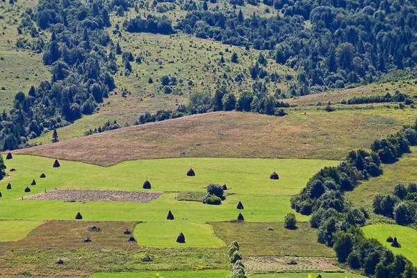 Zelené Luční Krajina Karpatských Horách — Stock fotografie