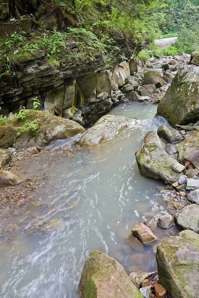 Riacho Floresta Montanhosa Com Uma Cachoeira Nas Montanhas Dos Cárpatos — Fotografia de Stock