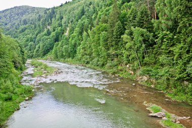 dağ nehir prut Ukraynalı Karpatlar