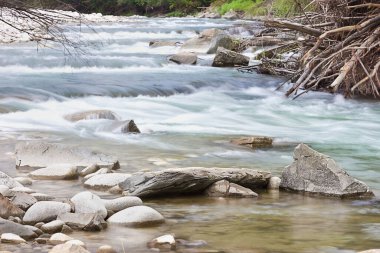 Orman ve dağ nehri ile yaz manzarası.