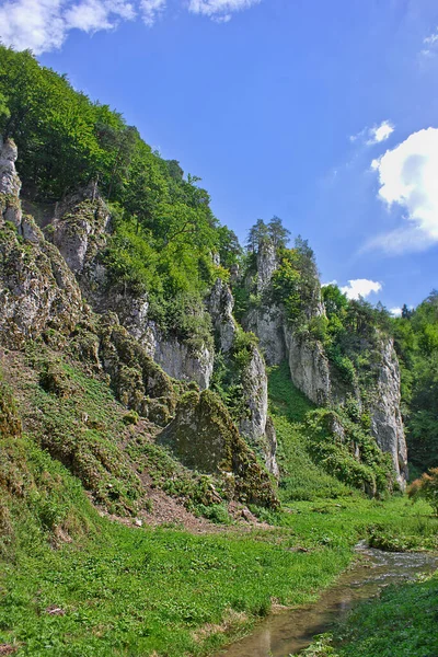 Летний Пейзаж Горами Небольшой Рекой — стоковое фото