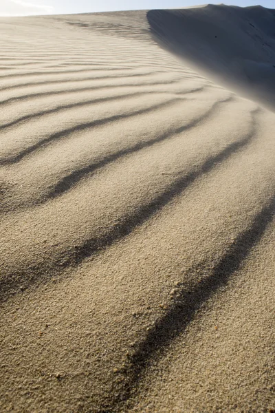 Textured Beach Sand on Dune — Stock Photo, Image