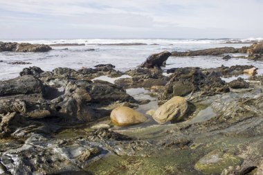 Rock havuzda iki kayalar