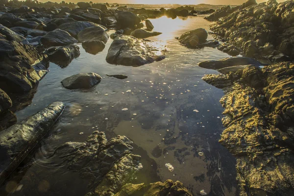 Piscina de maré ao pôr do sol — Fotografia de Stock