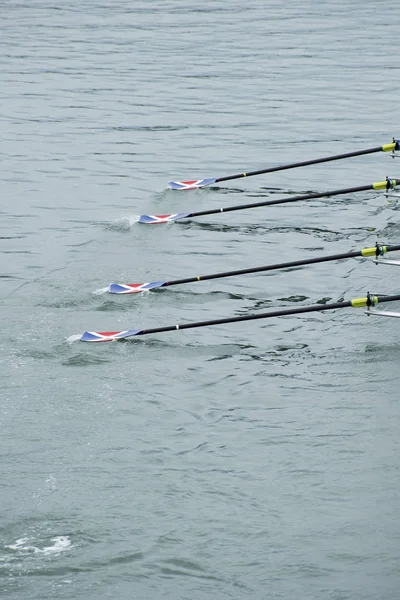 Four Rowing Ores in the Water — Stock Photo, Image