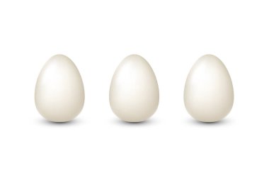 White realistic 3d eggs isolated vector illustration