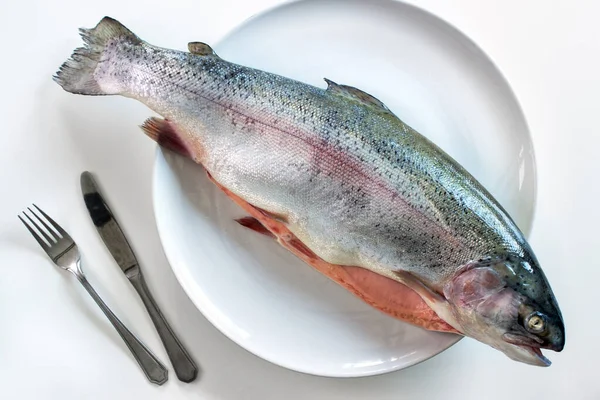 Raw Färsk Steelhead Öring Tallrik Ovanifrån — Stockfoto