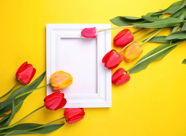 Красивые тюльпаны и белая рамка на желтом фоне — стоковое фото