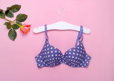 moda güzel sutyen ve gül pembe bir arka plan üzerinde