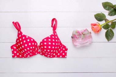 moda güzel sutyen ve beyaz zemin üzerine gül