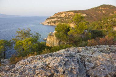 Rock Hill ile deniz ve orman arka plan