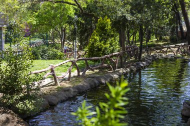 Bahar Park. Bahar yıldız park nehirde. Bahar manzara.