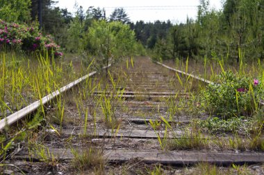 Eski paslı demiryolu parça ahşap uyuyanlar ile