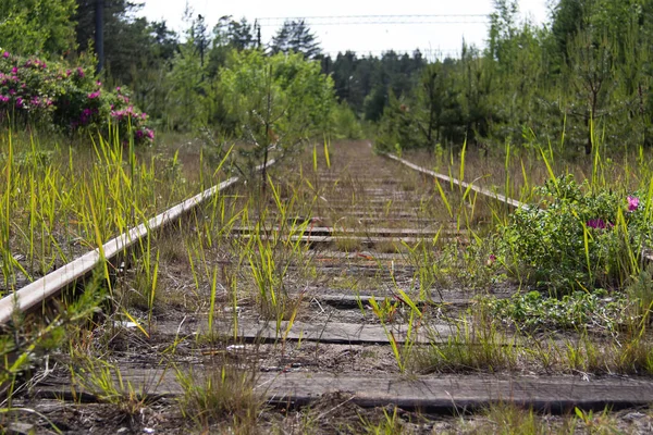 Eski paslı demiryolu parça ahşap uyuyanlar ile