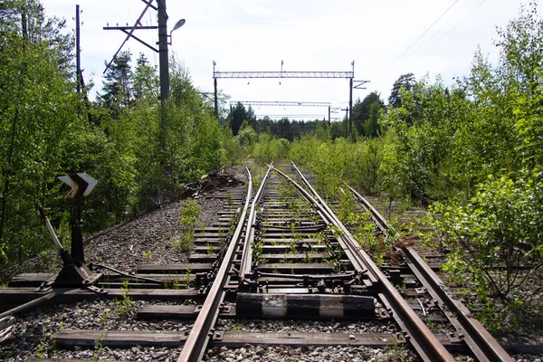 Старі іржаві залізничні колії з дерев'яними ліжками — стокове фото