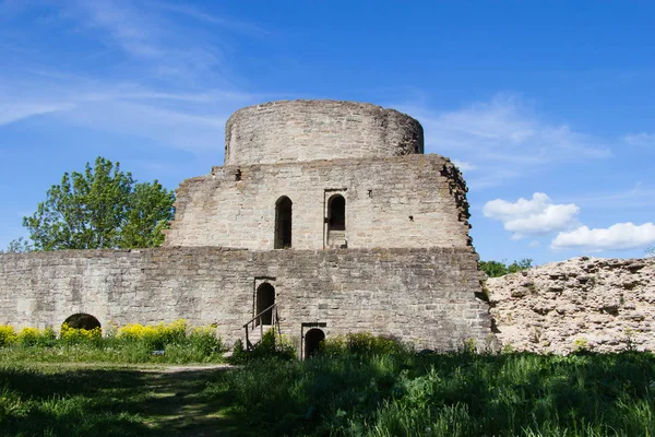 Историческая каменная крепость Форт-Копорье Лицензионные Стоковые Фото