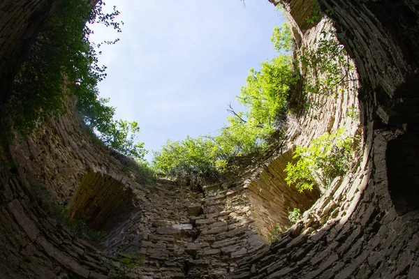 Coberto de arbustos e uma antiga fortaleza de pedra de Koporye Fotografia De Stock