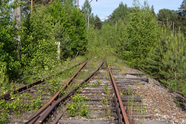 Velhos trilhos ferroviários enferrujados com dormentes de madeira Imagens Royalty-Free