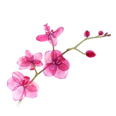 Suluboya çiçek resim