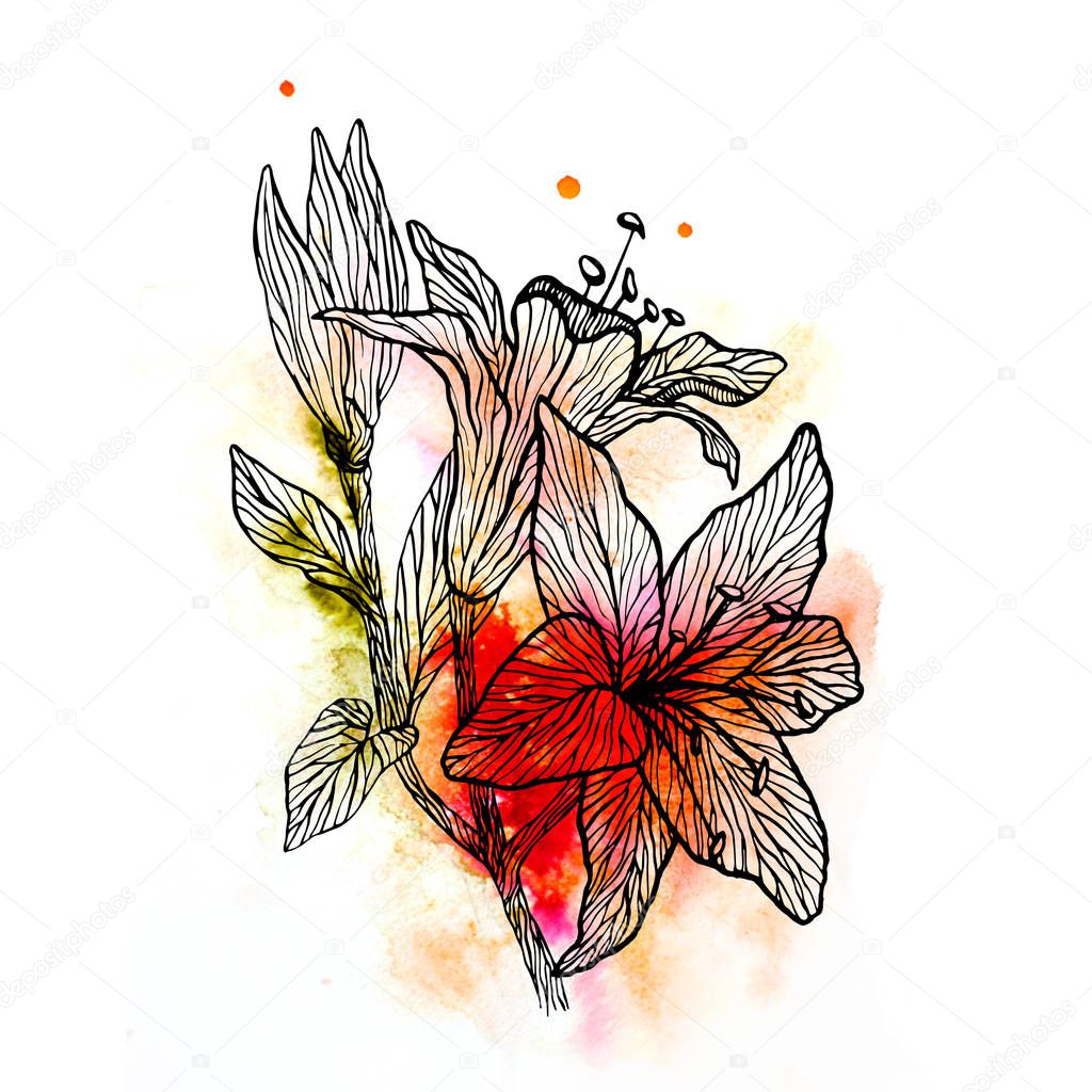 flower watercolor image