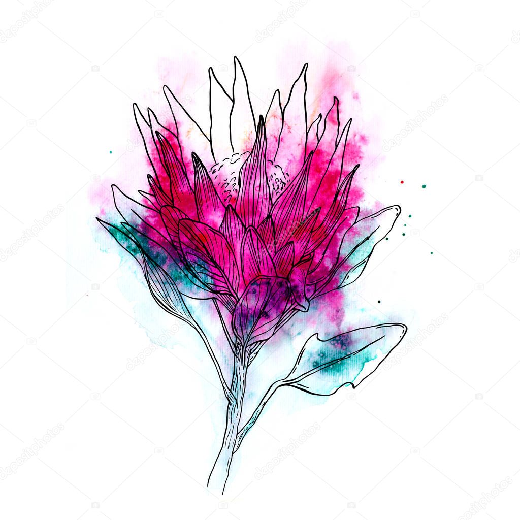 flower watercolor image