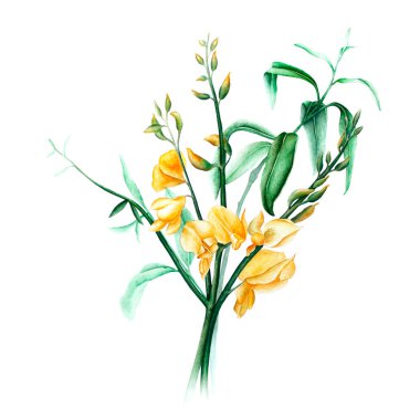 çiçek suluboya resim