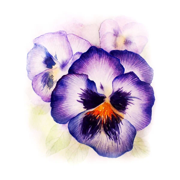 Aquarell-Blumenbild — Stockfoto