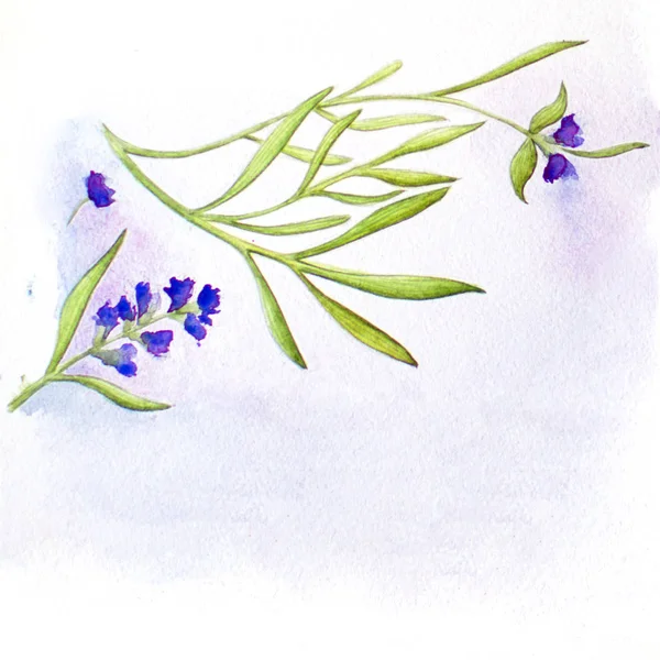 Lavender watercolor greeting card. — Stock Photo, Image