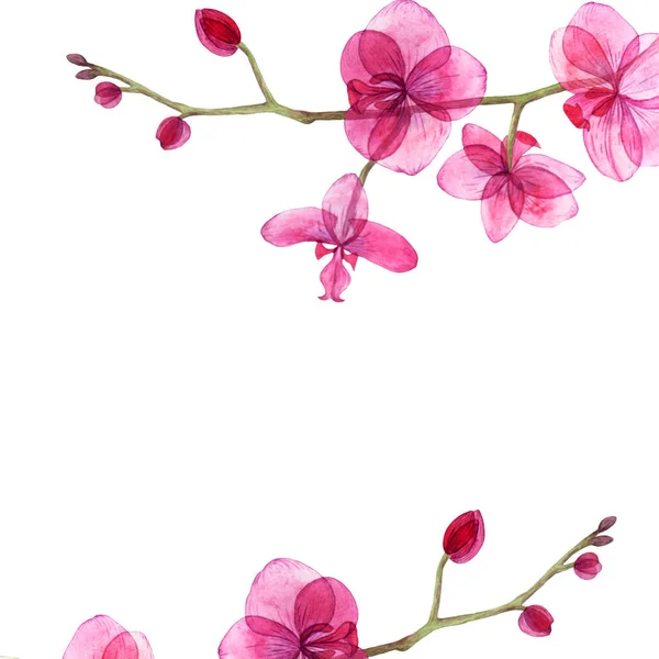 Orkidé akvarell kort. — Stockfoto
