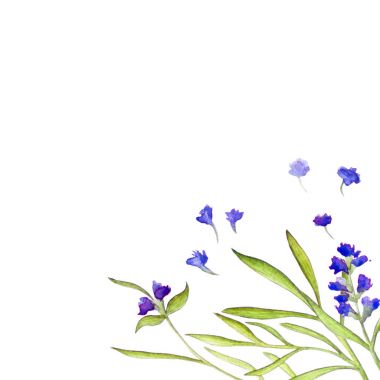 Lavanta suluboya tebrik kartı.