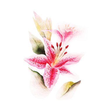 Suluboya çiçek resim